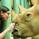A look behind the scenes at Disney’s Animal Kingdom.
